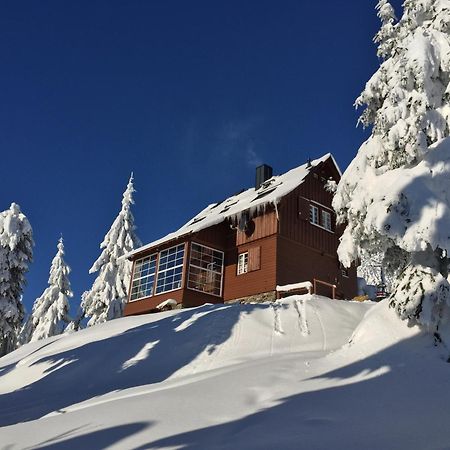 Die Adlerhuette Oberwiesenthal Eksteriør bilde